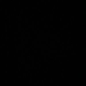 Meet your Posher, Bradley t.